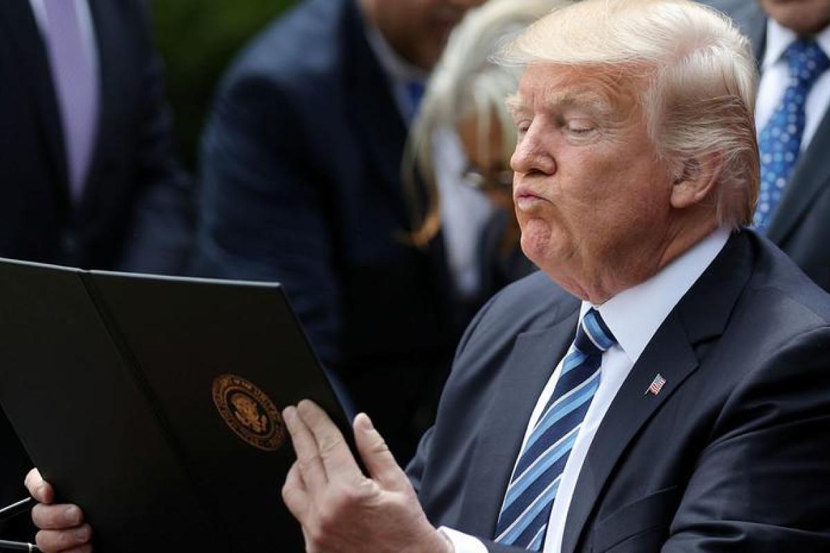 Журналистка назвала Трампа "расистской свиньей" в телеэфире