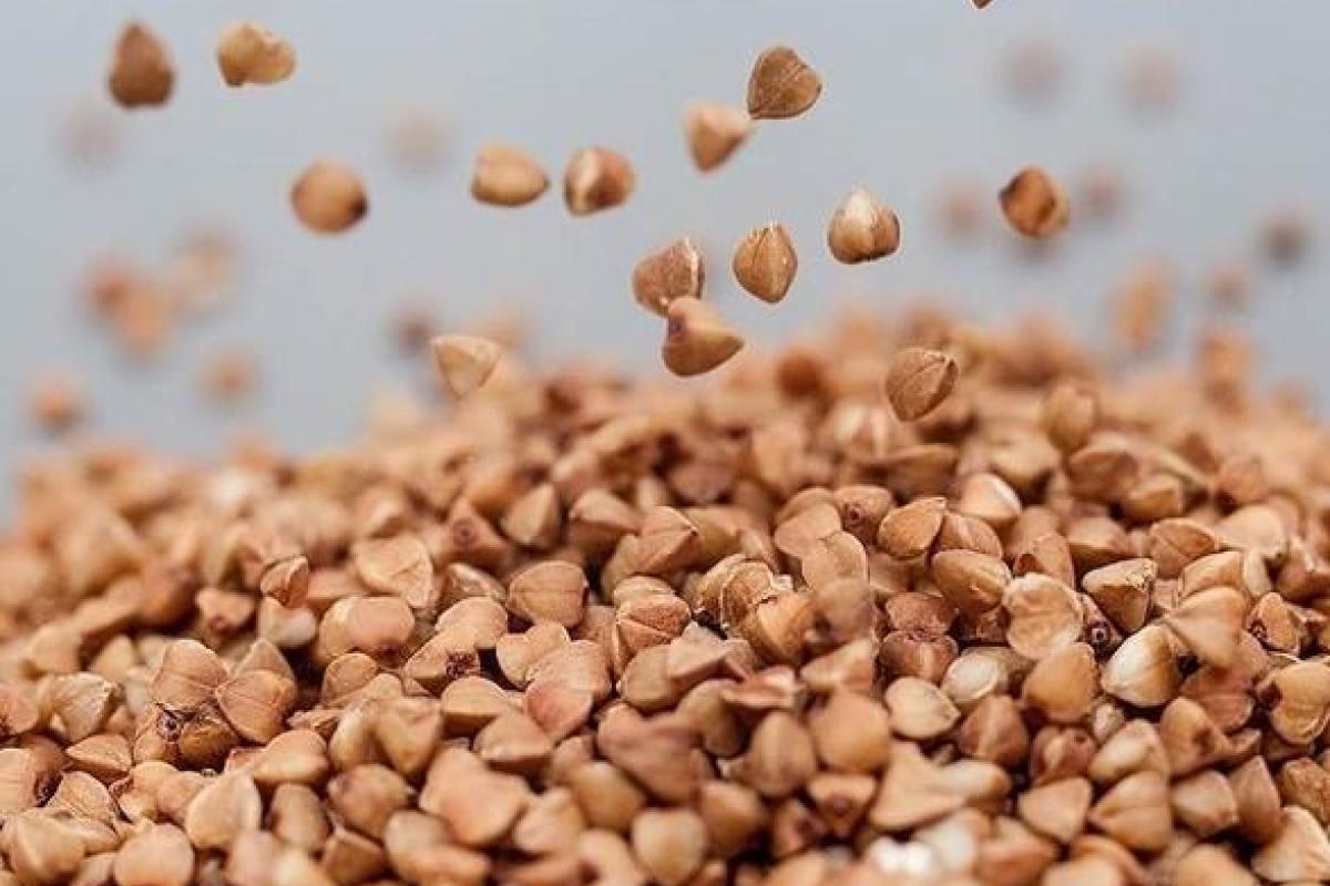 В Украине подешевела гречка и подорожал рис В Украине подешевела гречка и подорожал рис