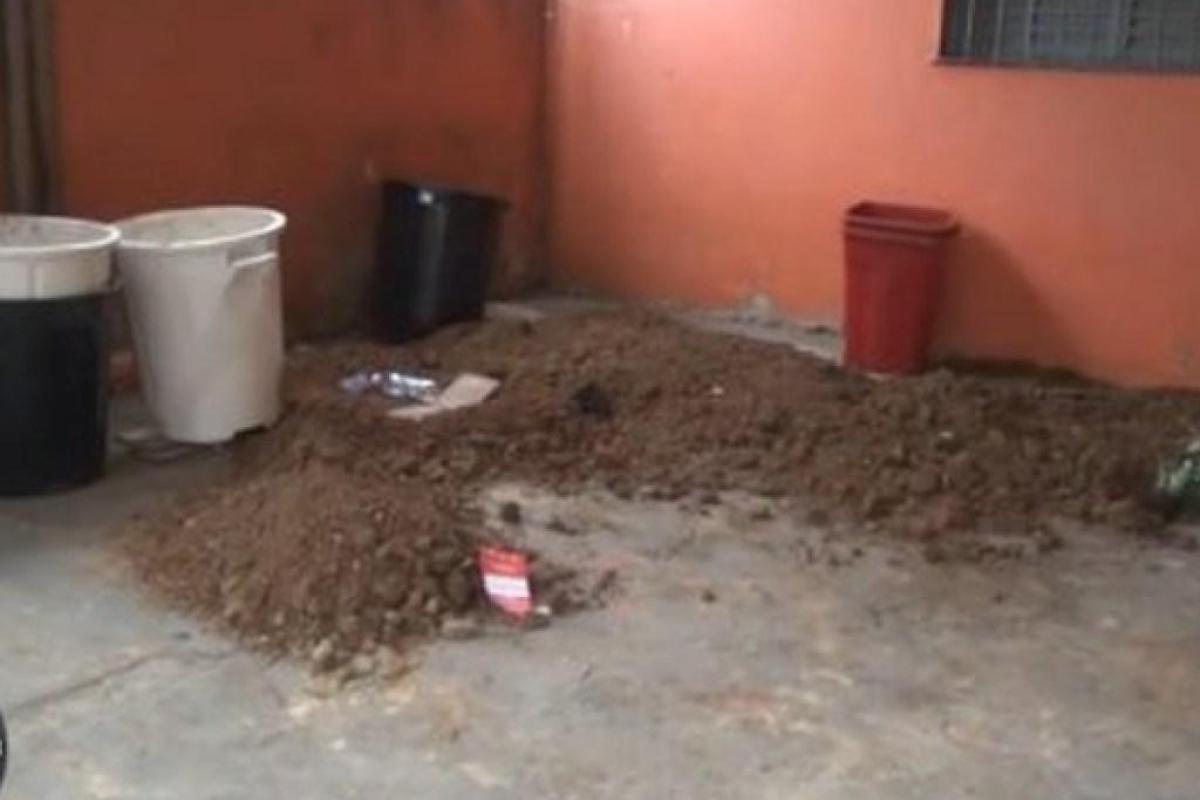 "Похоронили заживо": в Бразилии пожилая пара убила невестку 