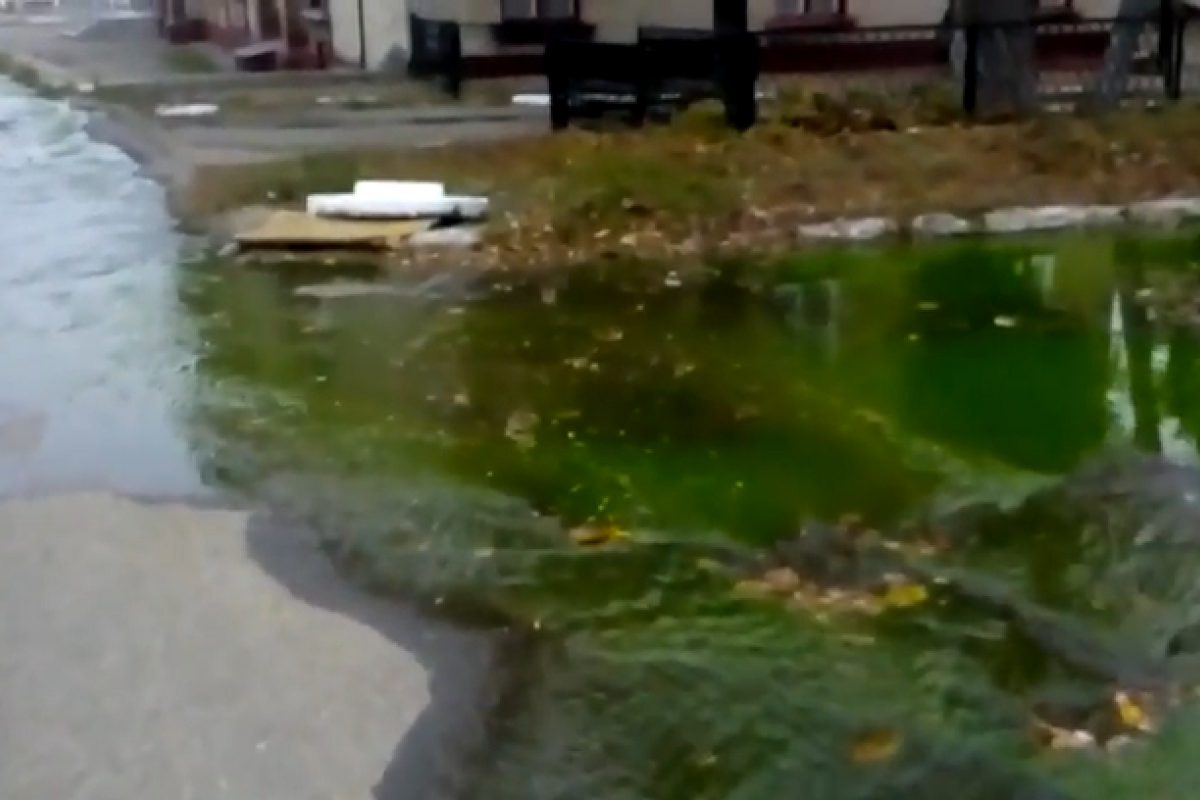 В центре Лисичанска сняли на видео ярко-зеленый "ручей" В центре Лисичанска сняли на видео ярко-зеленый "ручей"