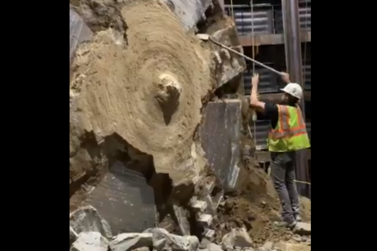 Компания Илона Маска проложила первый тоннель для скоростной трассы под Лос-Анджелесом