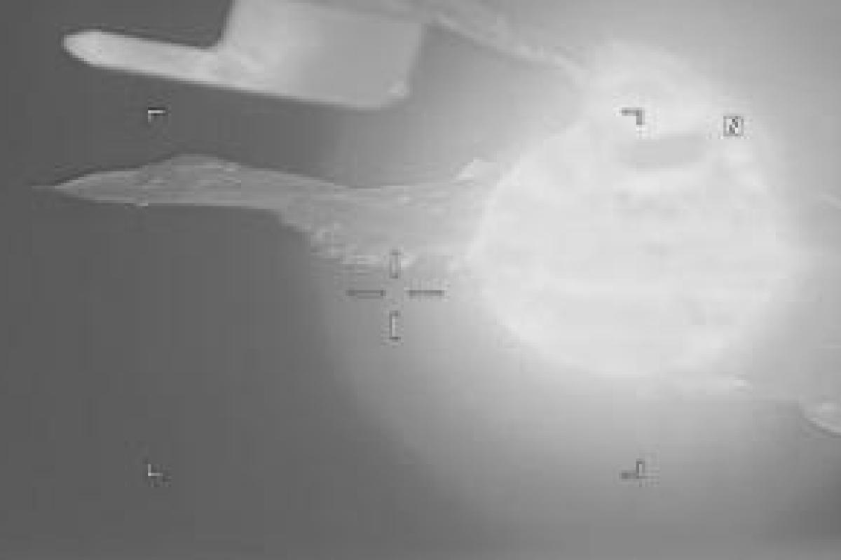 Над Черным морем военные самолеты США и РФ чуть не вступили в бой