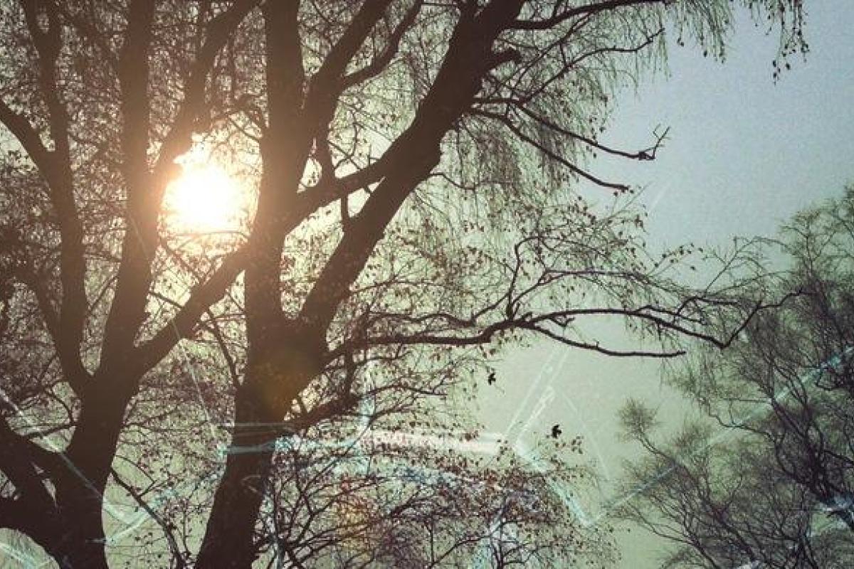 В России "Ангарского маньяка" приговорили к двойному пожизненному заключению