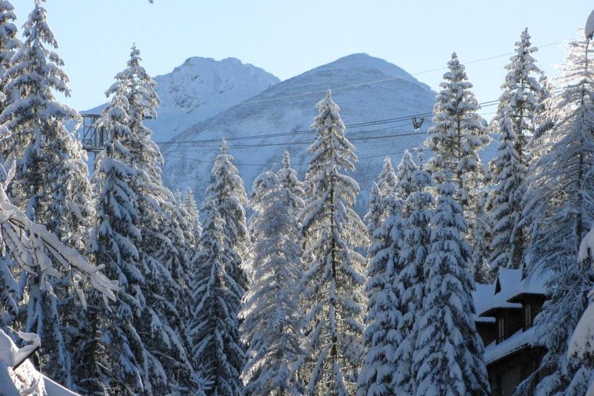 В Татрах под снежной лавиной погибла туристка из Словакии