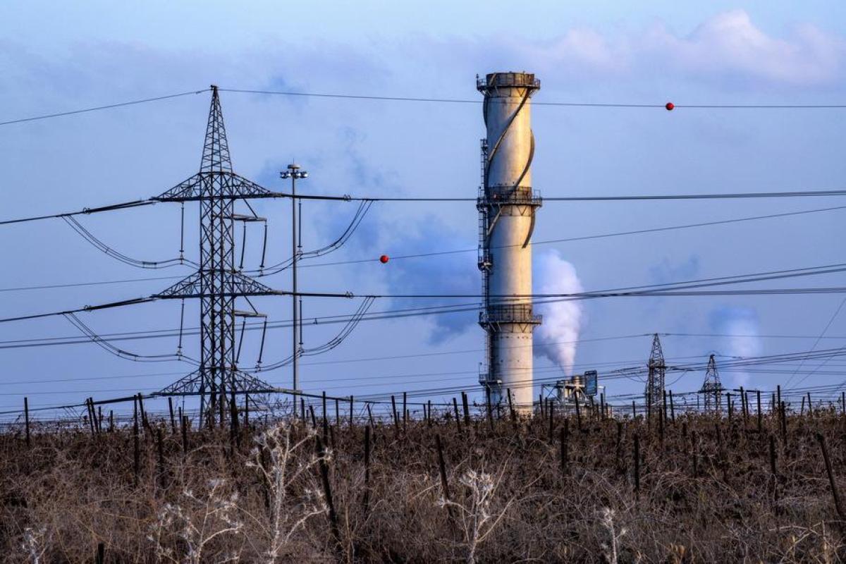 На экологическом саммите в Польше человек признан вымирающим видом На экологическом саммите в Польше человек признан вымирающим видом
