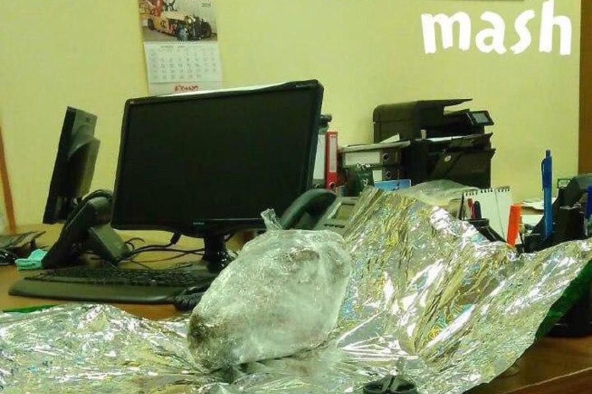 Московские страховые компании получили в подарок бараньи головы и обвинения в коррупции