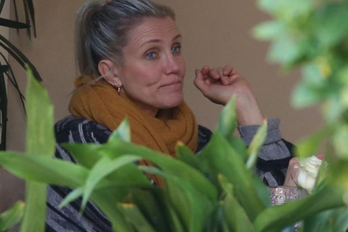 "Пенсия ей идет": Папарацци засняли Камерон Диас без макияжа "Пенсия ей идет": Папарацци засняли Камерон Диас без макияжа