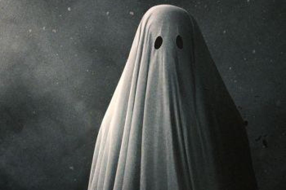 В Италии мужчина воровал антикварные картины в образе привидения - его засняли видеокамеры