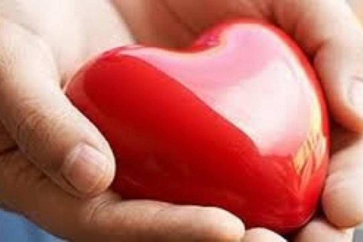 Вступил в силу закон о посмертном донорстве в Украине