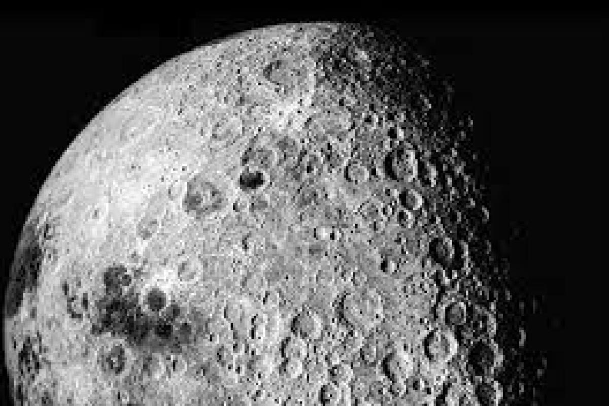 На темной стороне Луны впервые вырастили растение На темной стороне Луны впервые вырастили растение