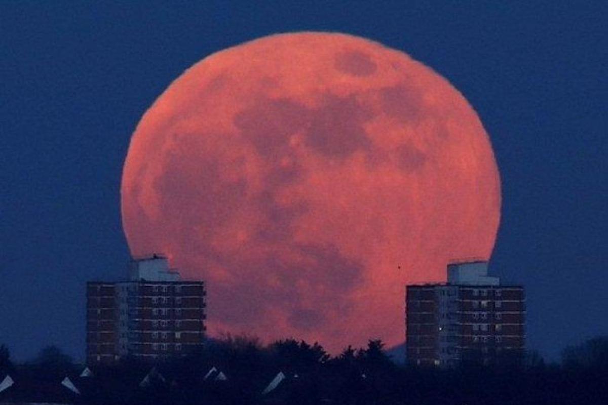 В небе взойдет суперлуна: чего следует опасаться в этот день В небе взойдет суперлуна: чего следует опасаться в этот день