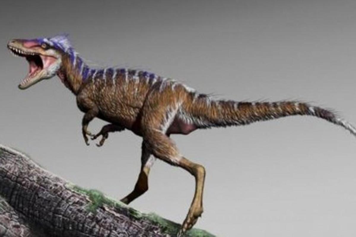 В США обнаружили останки тираннозавра, жившего 95 миллионов лет назад