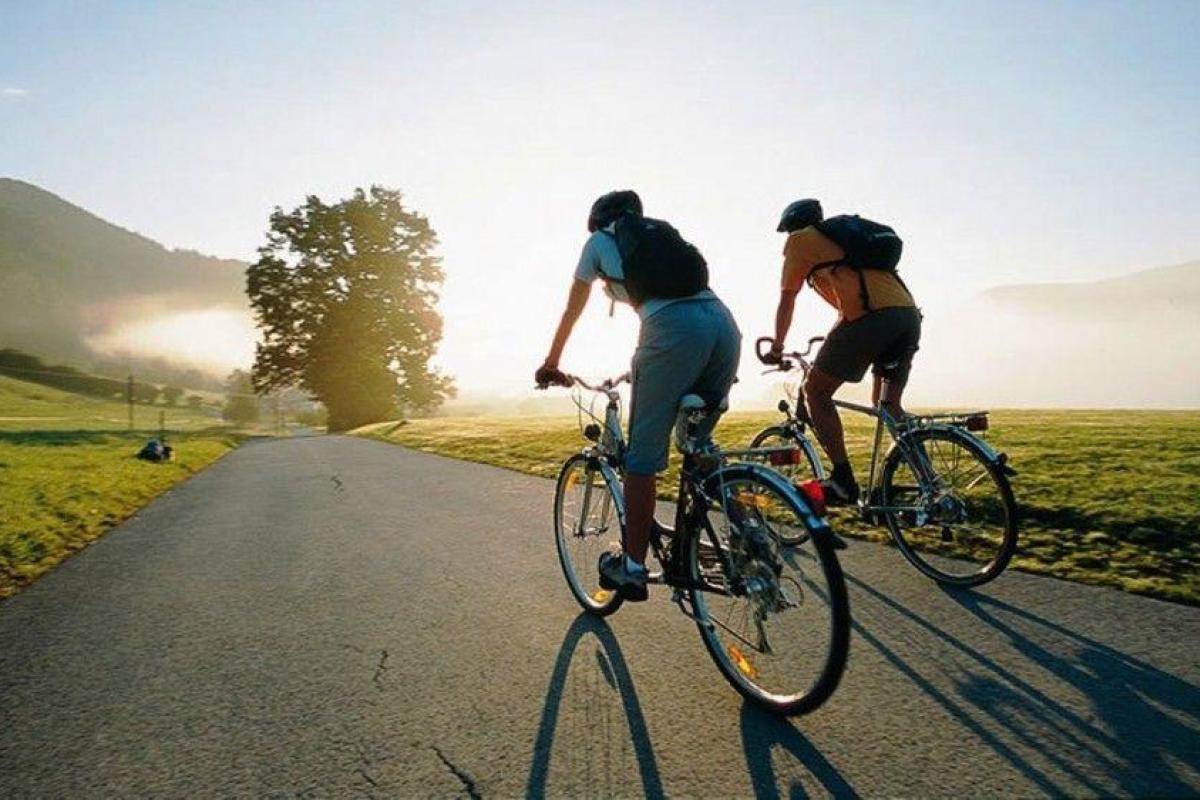 В Нидерландах решили штрафовать велосипедистов