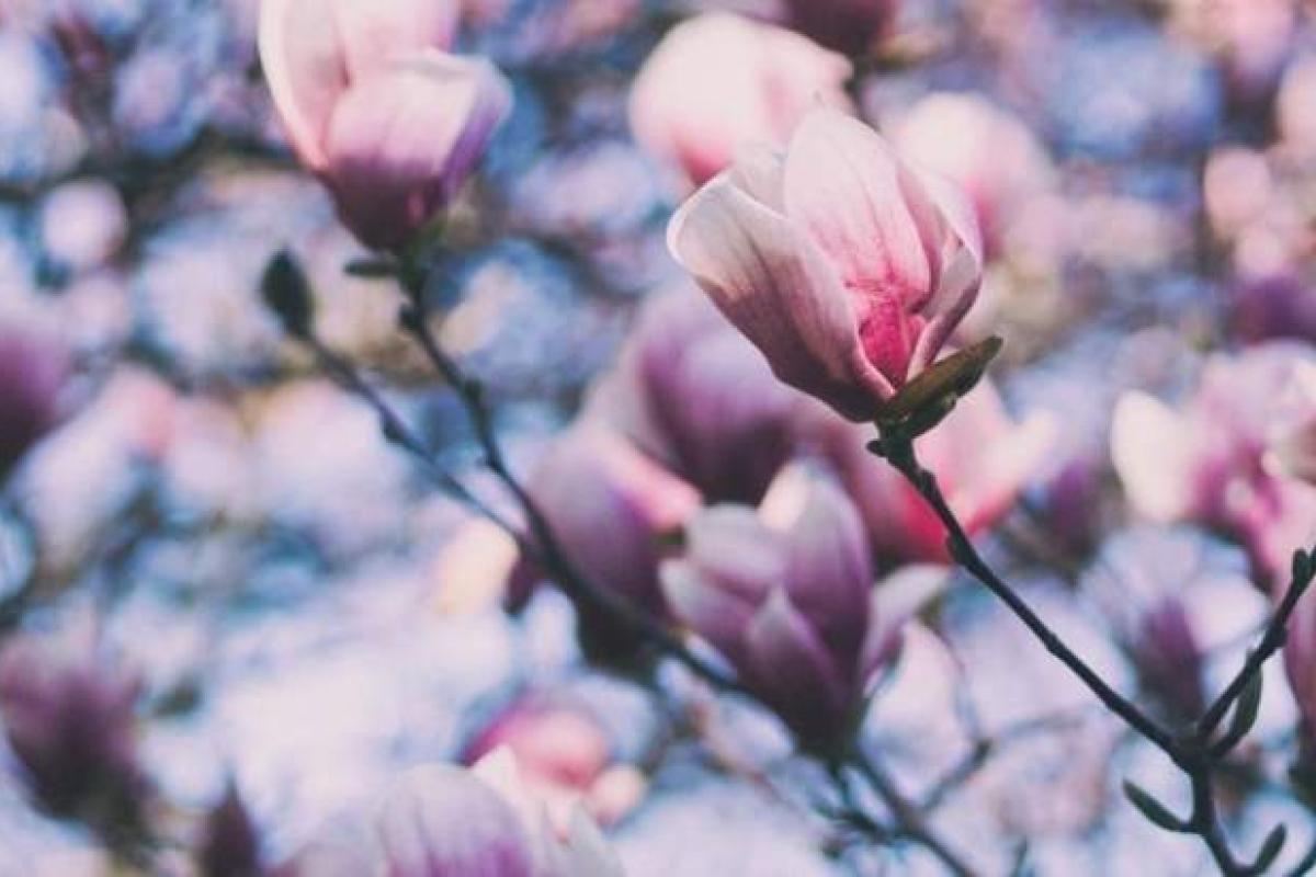 Синоптик прогнозирует начало апреля с минусовой температурой Синоптик прогнозирует начало апреля с минусовой температурой