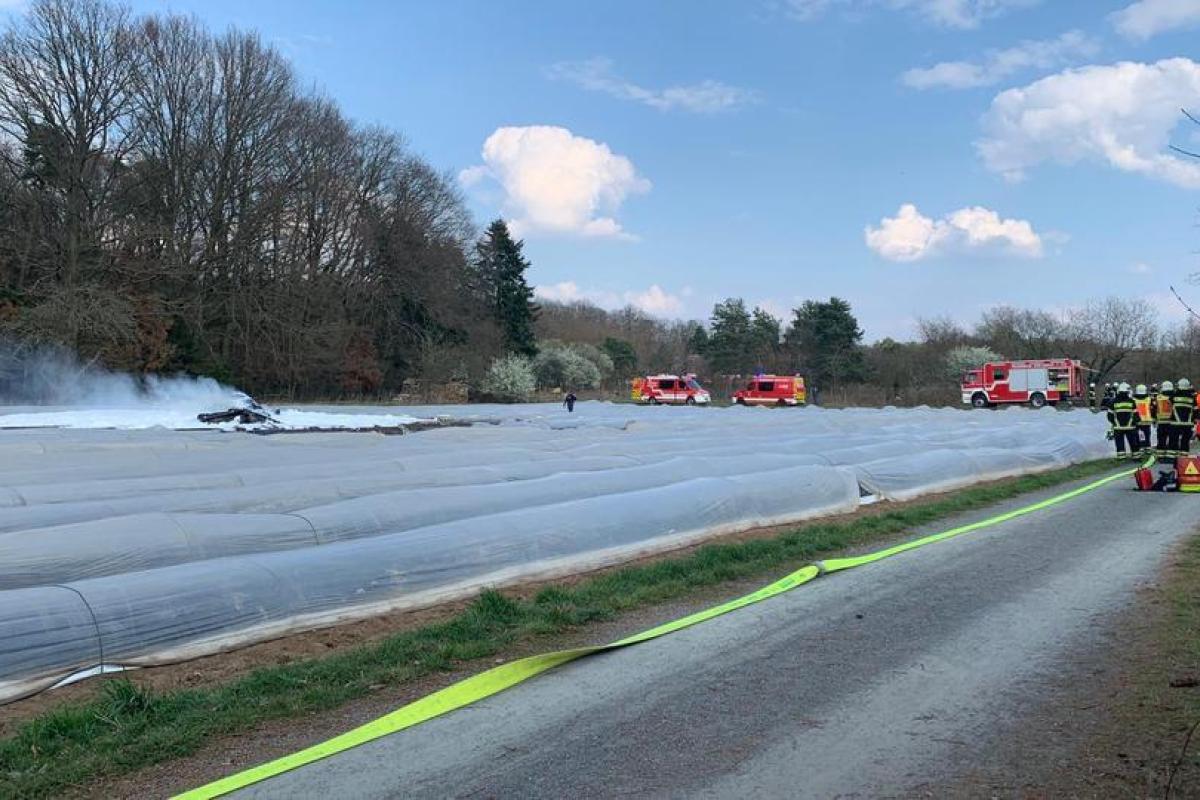 СМИ опровергают гибель владельца российской авиакомпании S7 Владислава Филева