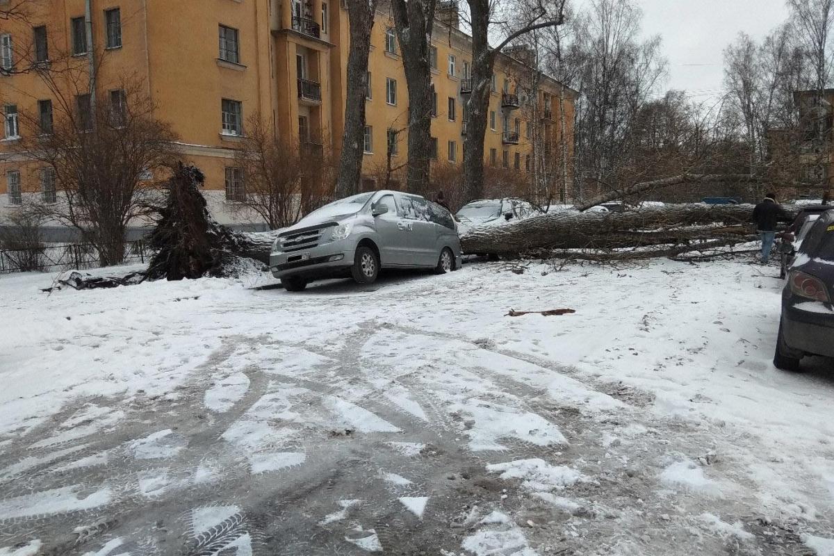 Петербург накрыла снежная буря: из-за метели пришлось закрыть аэропорт Петербург накрыла снежная буря: из-за метели пришлось закрыть аэропорт