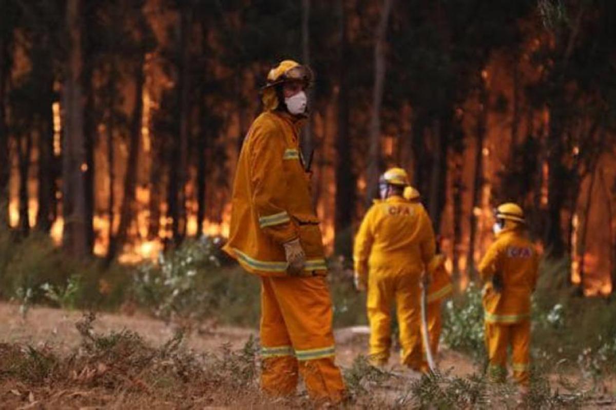 На борьбу с огнем прибыло более 300 человек и 3 самолета: В США горит Национальный парк На борьбу с огнем прибыло более 300 человек и 3 самолета: В США горит Национальный парк