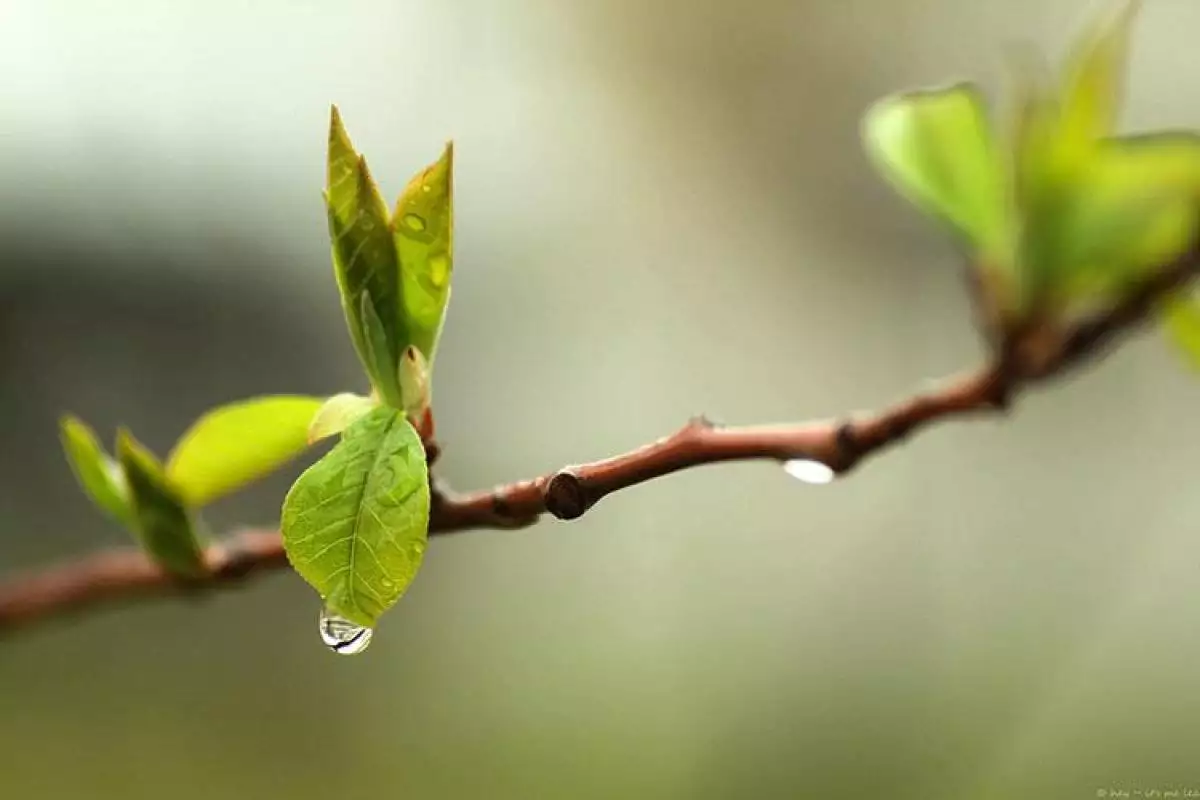 "Завтра так тепло уже не будет": Синоптик анонсировала в Украине похолодание и дожди