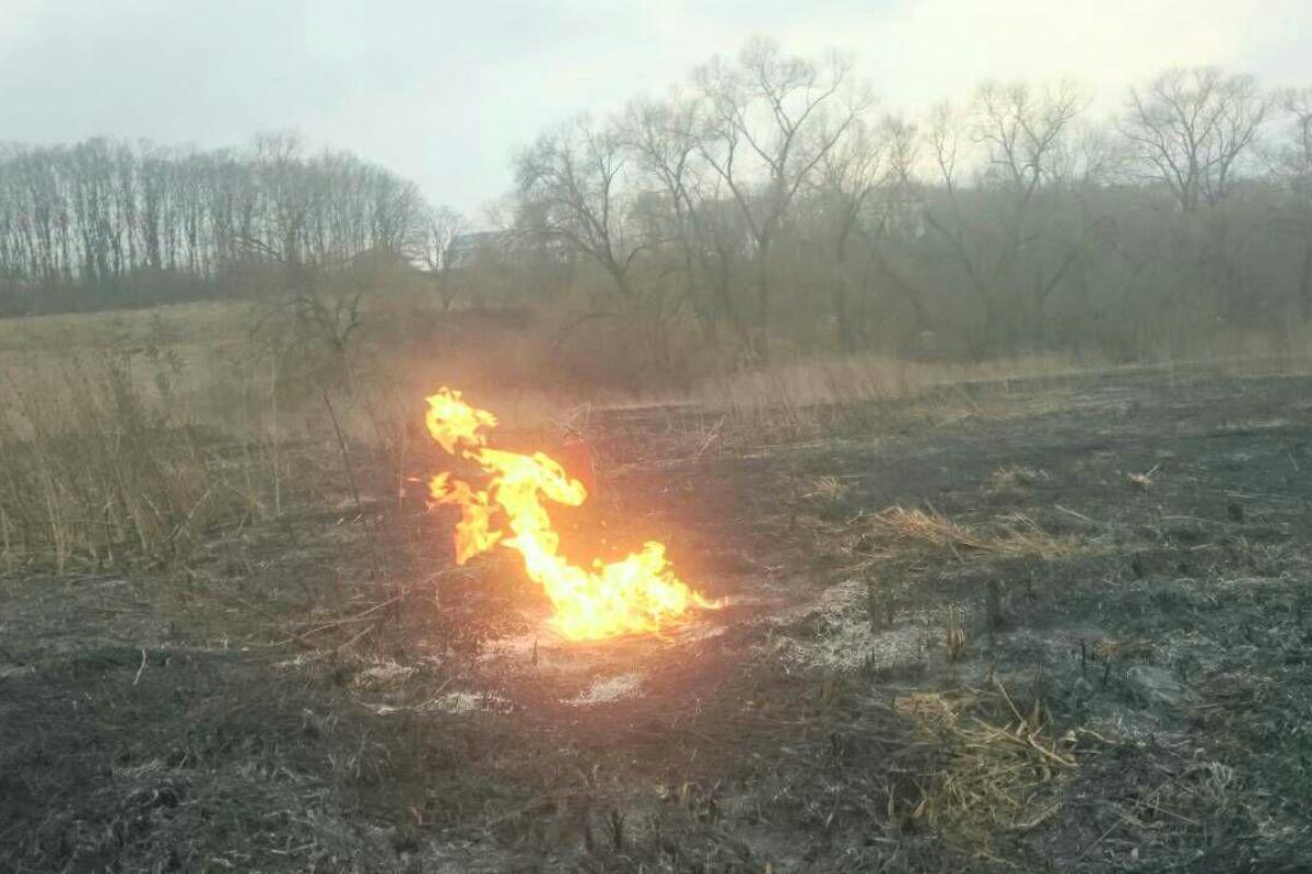 На Тернопольщине из-за сжигания сухой травы загорелся газопровод На Тернопольщине из-за сжигания сухой травы загорелся газопровод