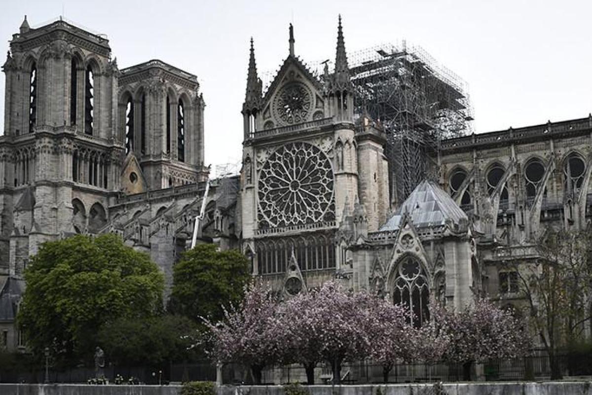 Экологи: Пожар собора Нотр-Дам грозит экологической катастрофой