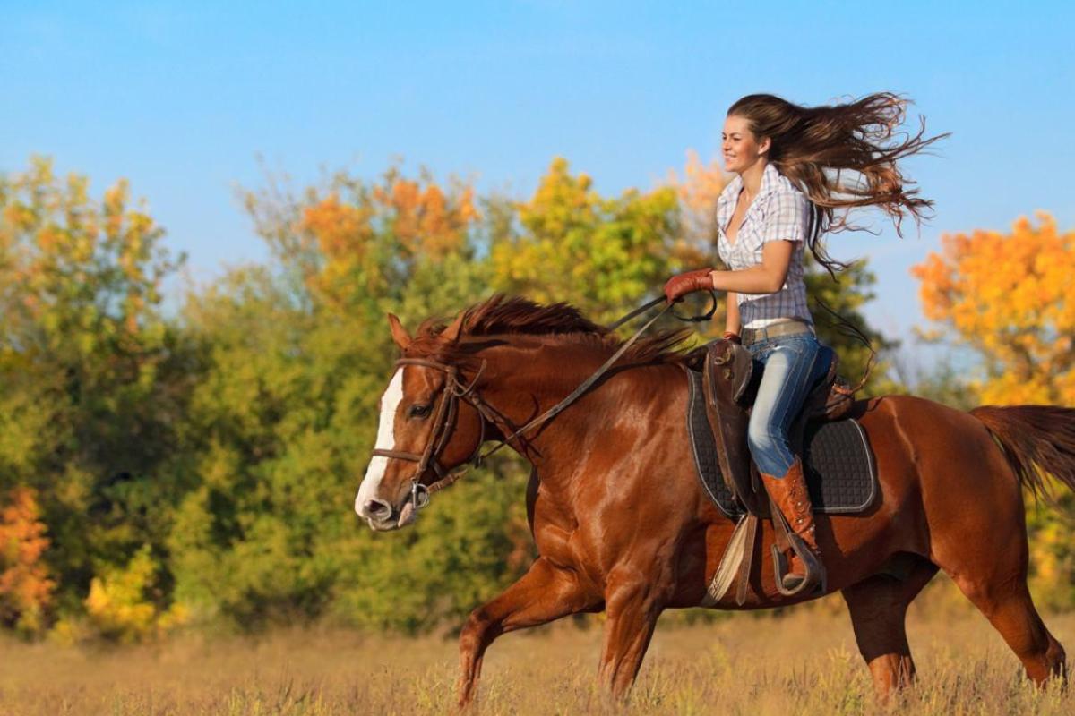 Уроки верховой езды: с чего начать? Уроки верховой езды: с чего начать?