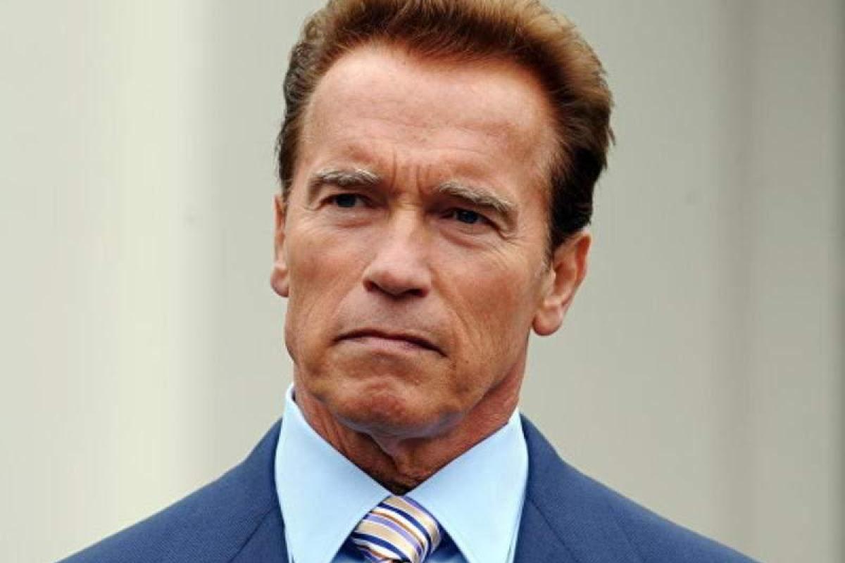 На Шварценеггера напали в ЮАР: момент попал на видео