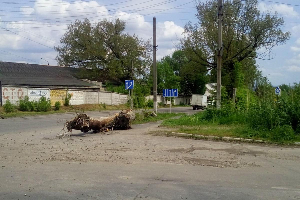 "Никому нет дела": В Лисичанске посреди улицы лежат заваленные ветром дерево и столб "Никому нет дела": В Лисичанске посреди улицы лежат заваленные ветром дерево и столб