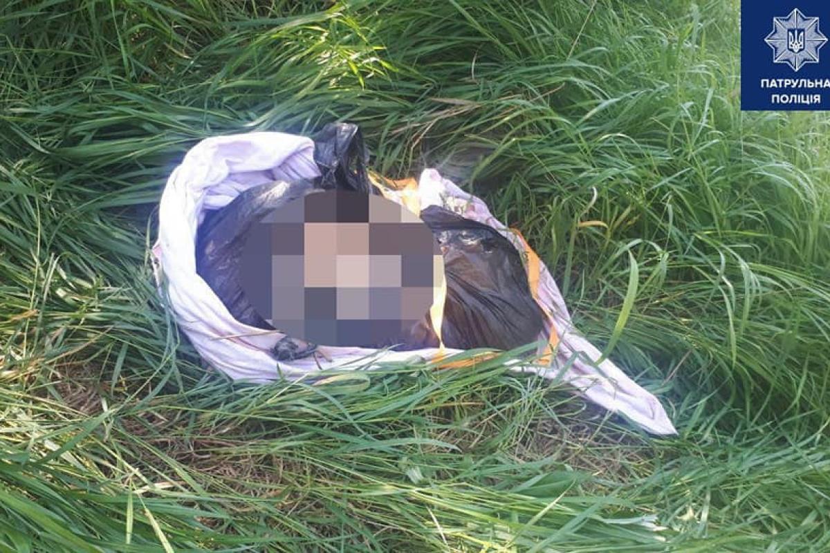 В Мариуполе убийца выбросил пакет с человеческими останками на соседский огород В Мариуполе убийца выбросил пакет с человеческими останками на соседский огород