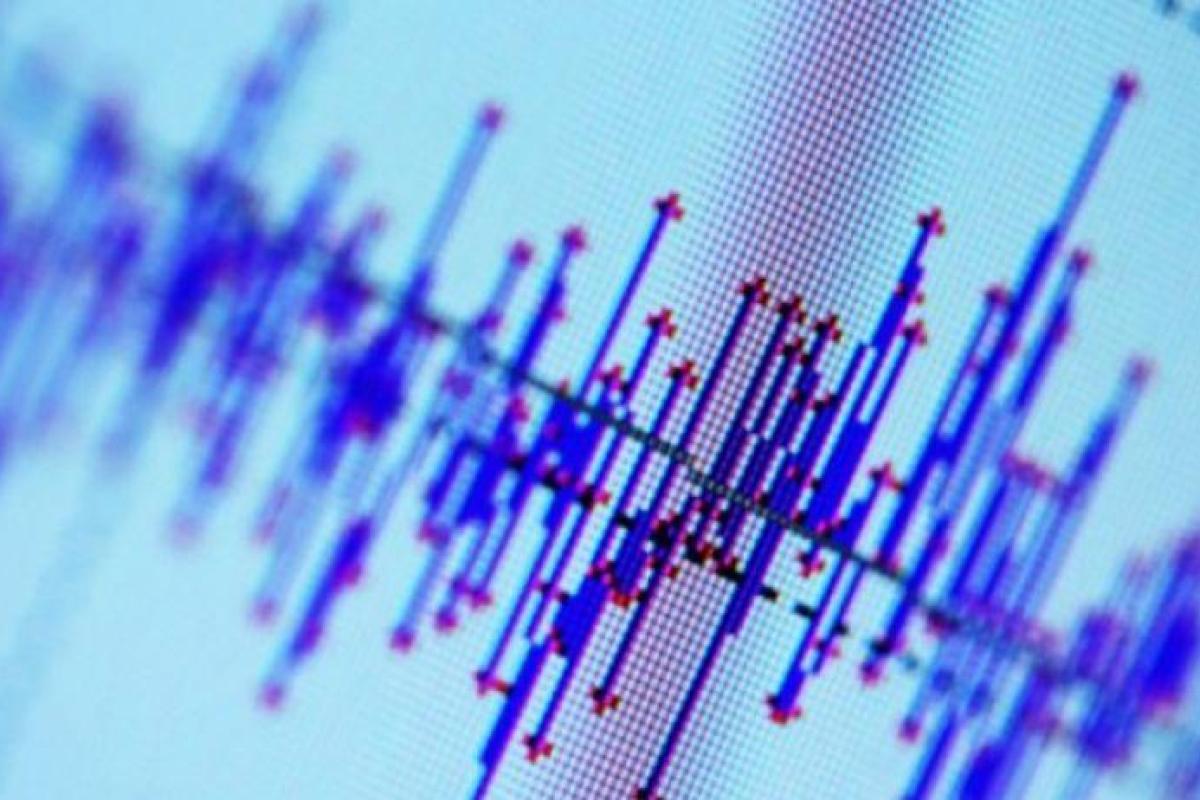В Японии произошло землетрясение