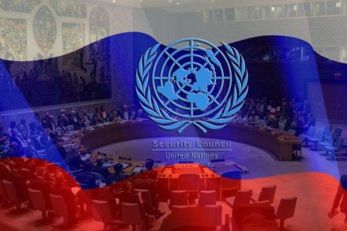 В Совбезе ООН обсудили инициированный РФ вопрос о языке в Украине