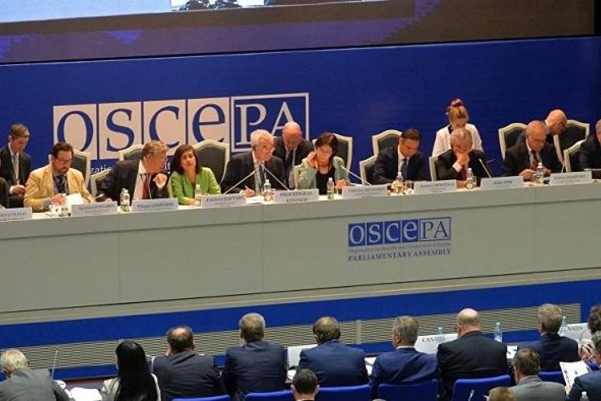 ПА ОБСЕ признала захваченных Россией моряков военнопленными ПА ОБСЕ признала захваченных Россией моряков военнопленными