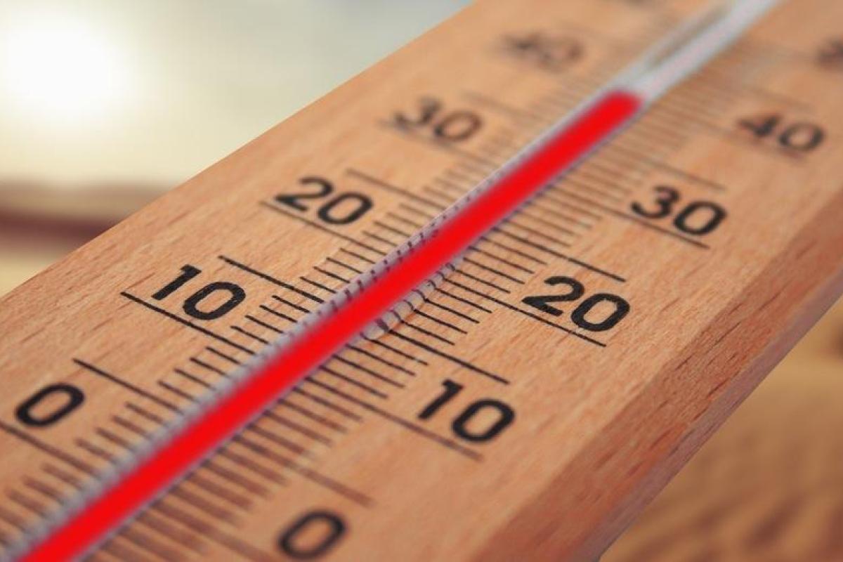 Июль 2019 года стал самым жарким месяцем в истории проведения измерений