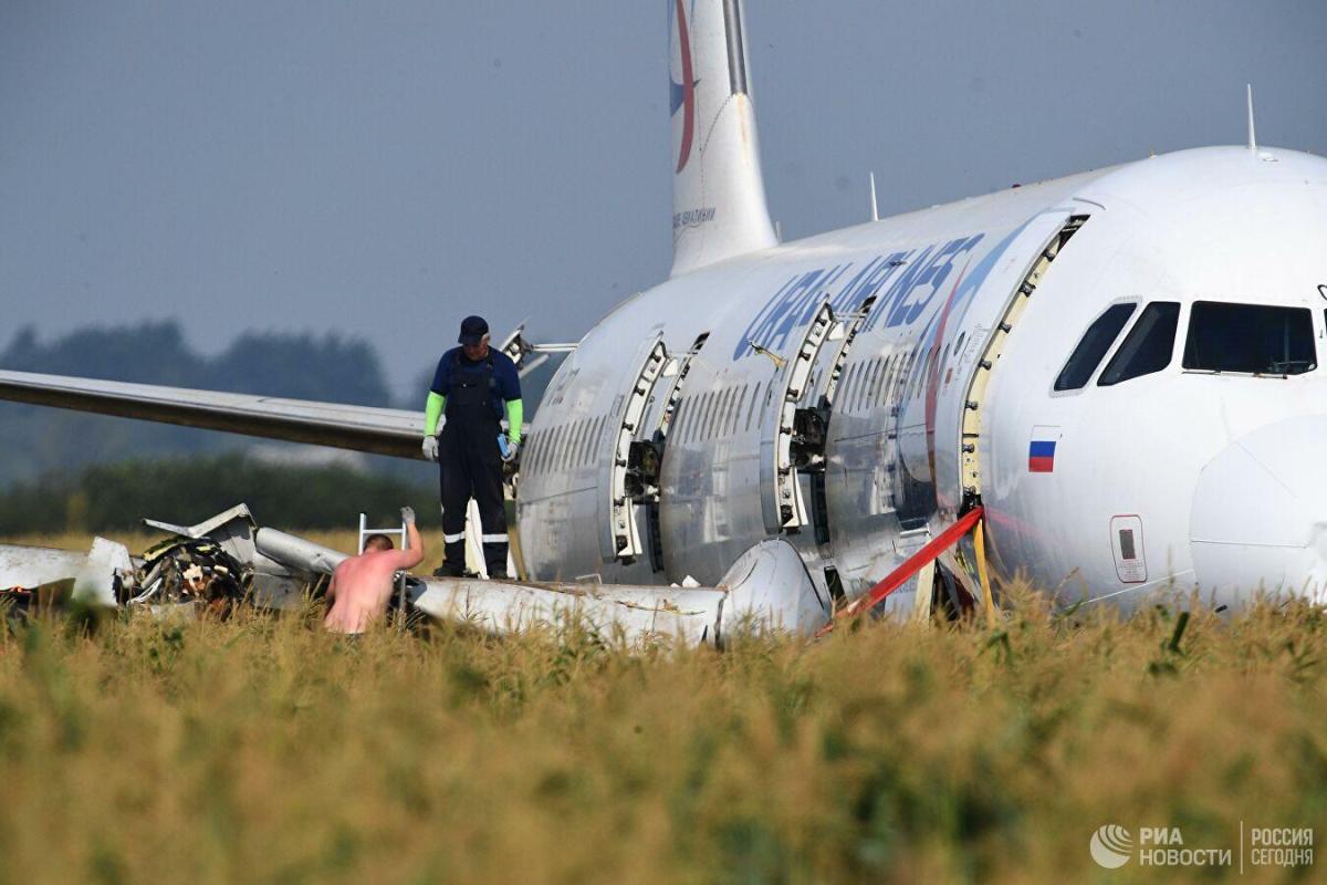 С кукурузного поля в Подмосковье по частям увезли аварийный самолет