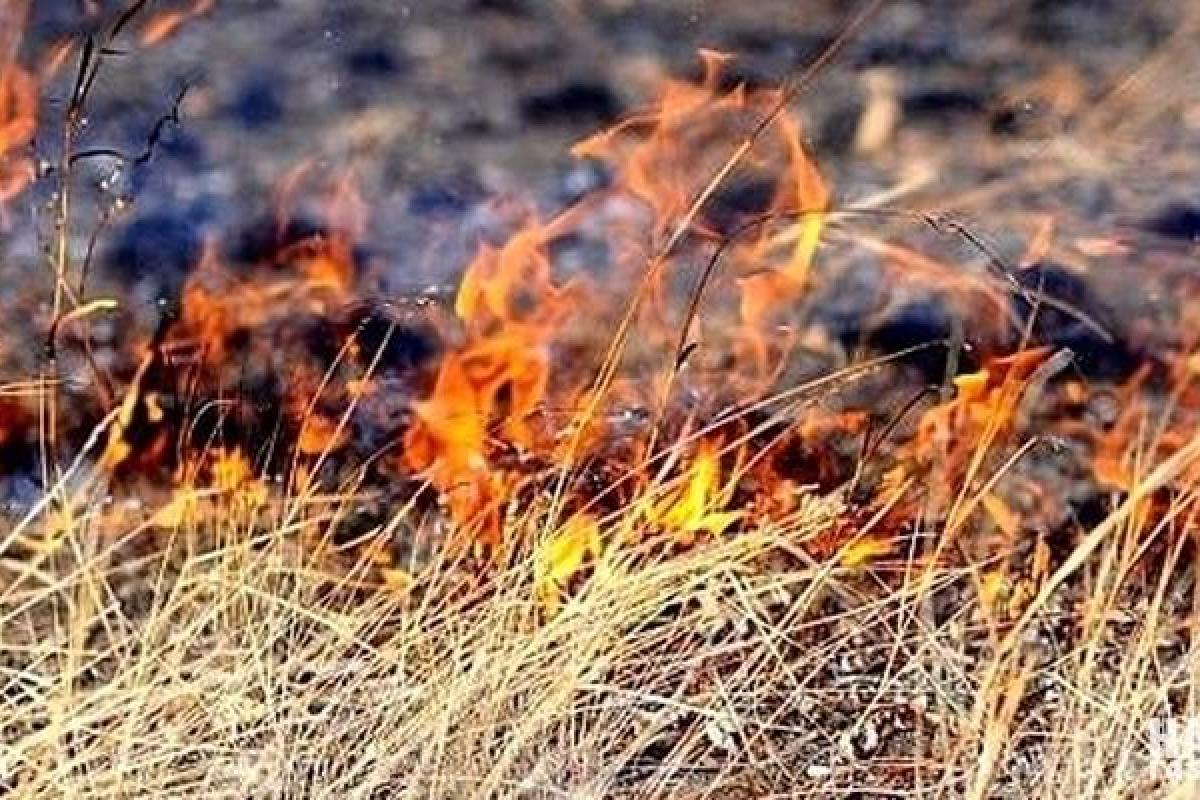 На Луганщине объявлена чрезвычайная пожарная опасность 5 класса