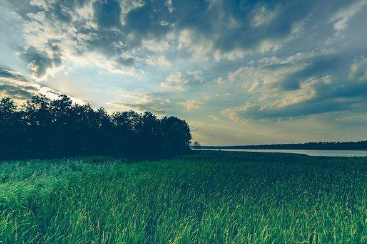 "Циклон будет убегать": Синоптик спрогнозировала благоприятное начало недели "Циклон будет убегать": Синоптик спрогнозировала благоприятное начало недели