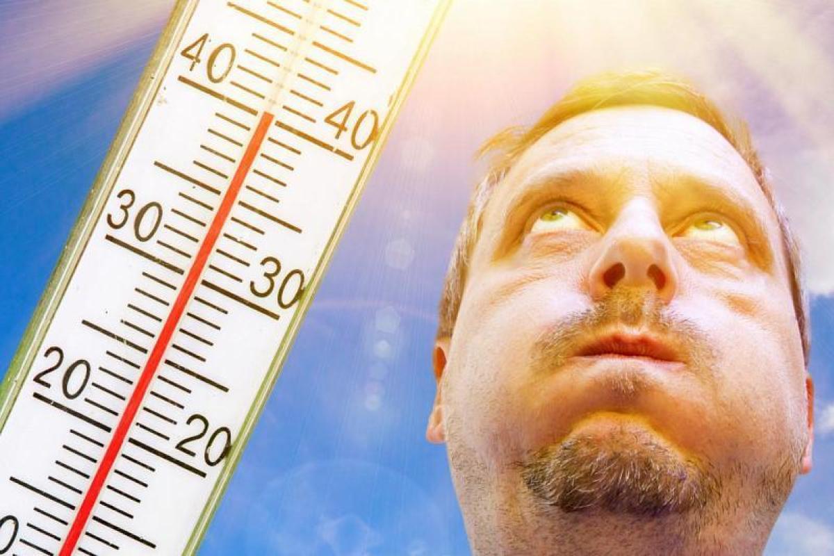 "С понедельника жара начнет раскручиваться": Синоптики прогнозируют новый термический пик "С понедельника жара начнет раскручиваться": Синоптики прогнозируют новый термический пик
