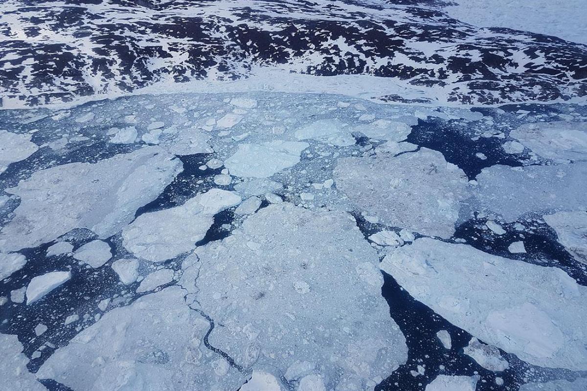 Гренландия потеряла 11 миллиардов тонн льда за один день Гренландия потеряла 11 миллиардов тонн льда за один день