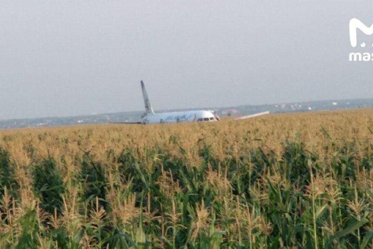 "Мы сели!" В сети появились видео из самолета Москва - Симферополь, рухнувшего на поле