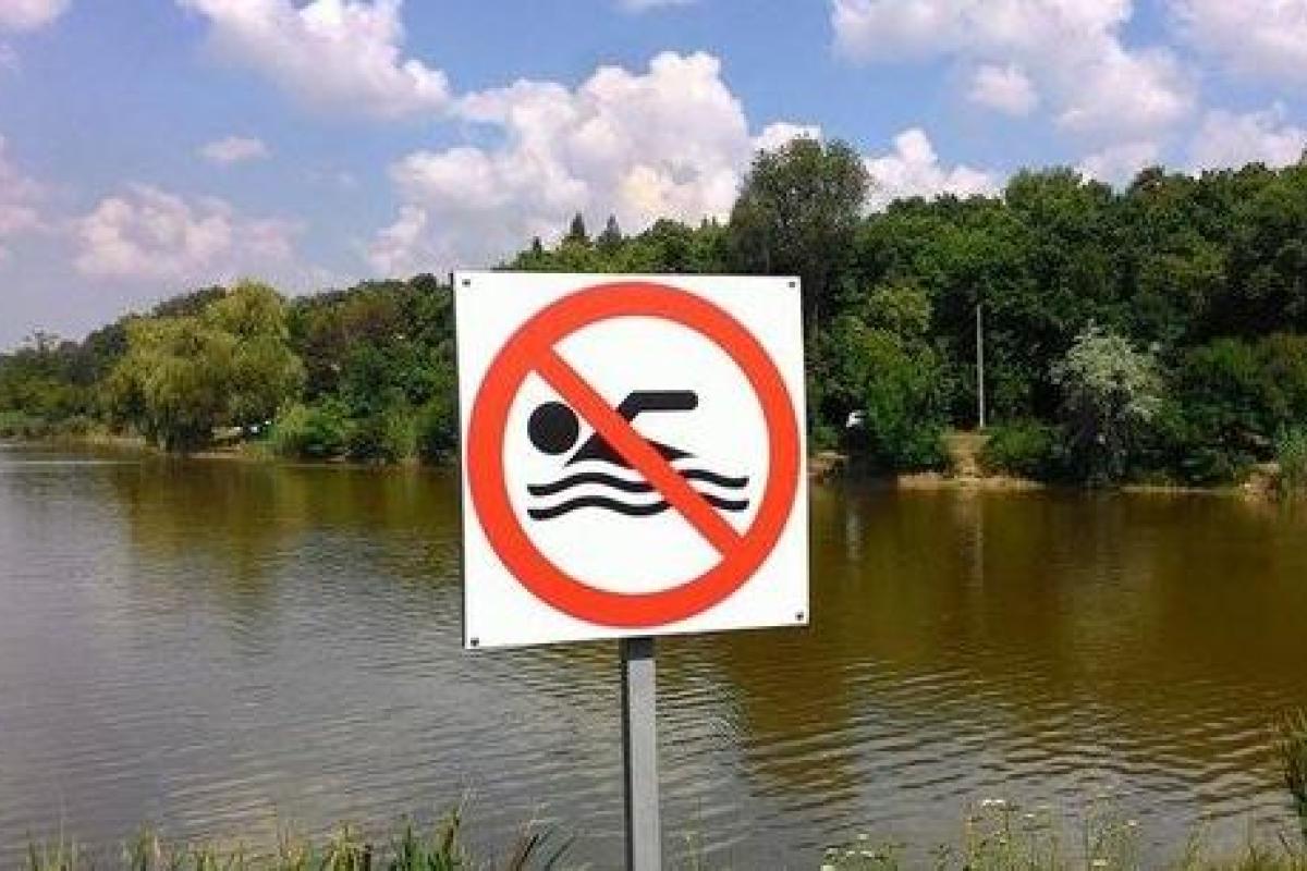 Инфекция зашкаливает: Ни один из водоемов Северодонецка не пригоден для купания Инфекция зашкаливает: Ни один из водоемов Северодонецка не пригоден для купания