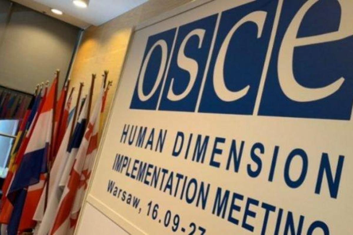 Скандал на заседании ОБСЕ: делегация Украины покинула зал из-за "российского Крыма"