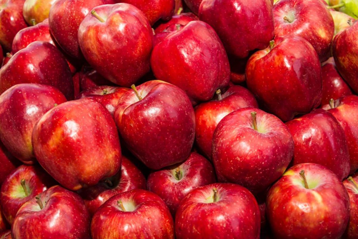 Евросоюз запретил поставки украинских фруктов: известна причина Евросоюз запретил поставки украинских фруктов: известна причина