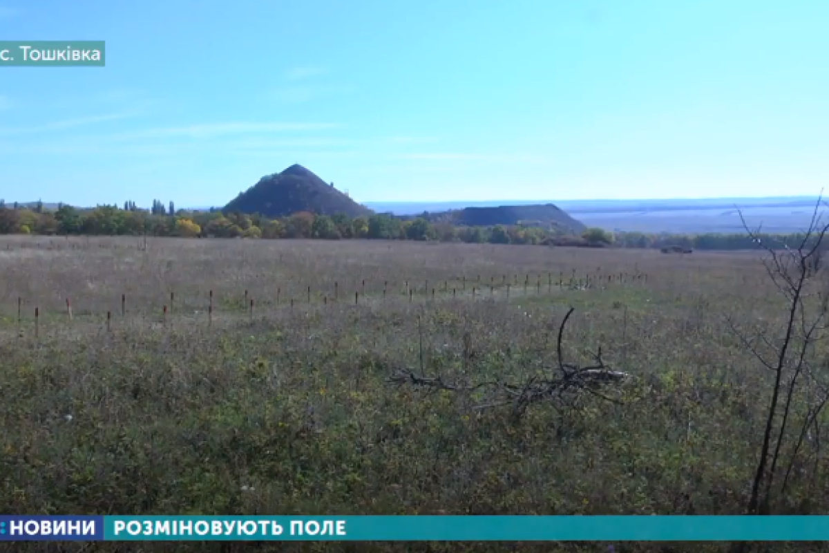 На Луганщине возле Тошковки начали разминировать поле: видео