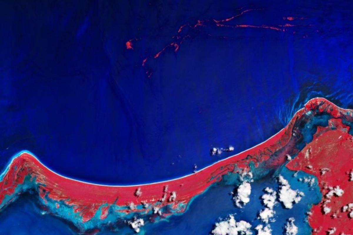 У берегов Мексики покраснел океан: явление сфотографировали со спутника У берегов Мексики покраснел океан: явление сфотографировали со спутника