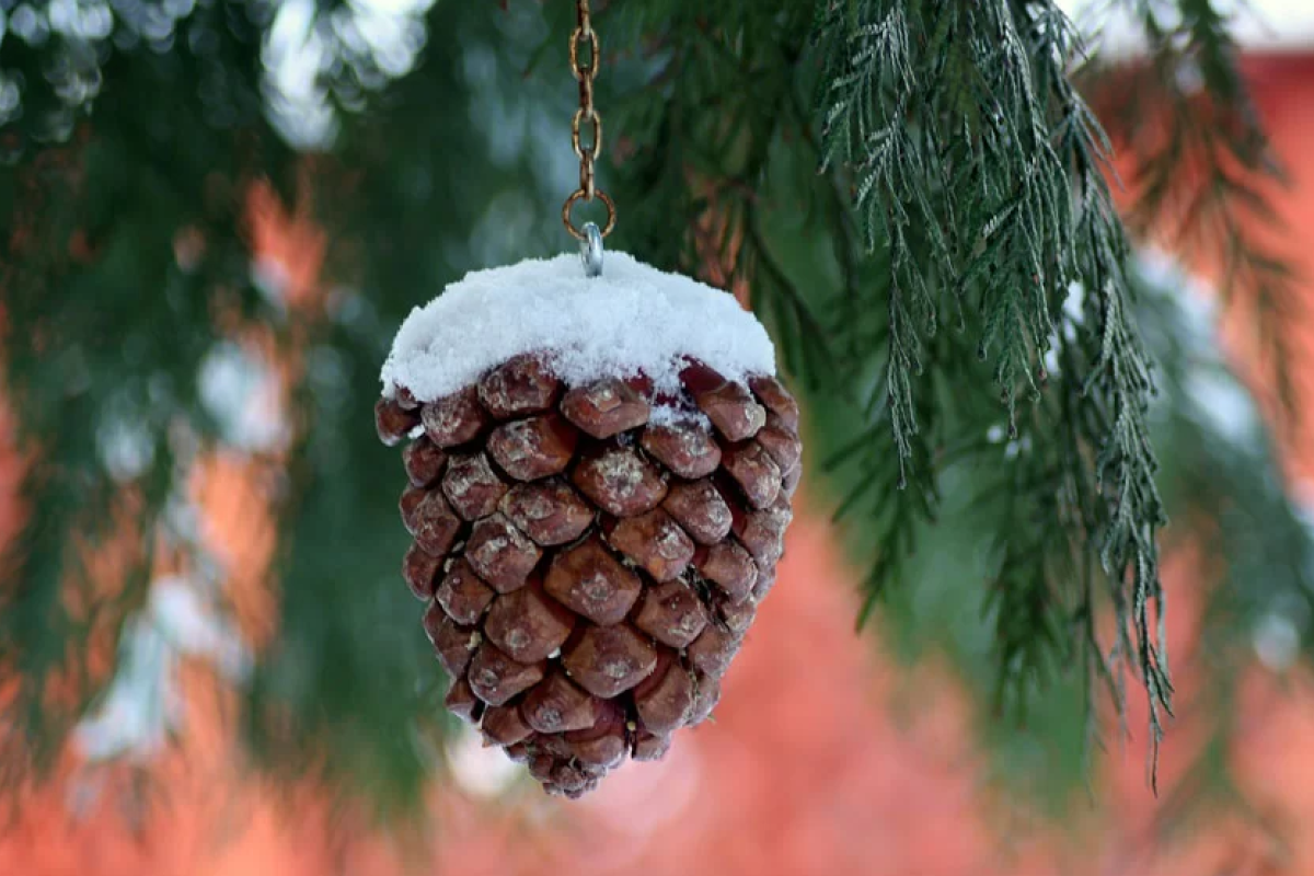 Выходные в январе: украинцам снова перенесут рабочий день на субботу Выходные в январе: украинцам снова перенесут рабочий день на субботу