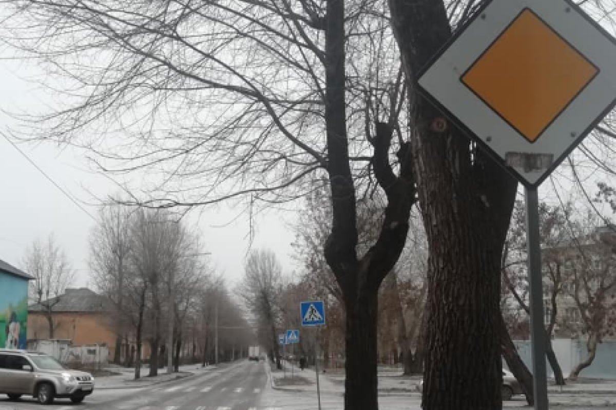 "В бермудском треугольнике исчезают дорожные знаки": В Северодонецке впечатлены наглостью вандалов
