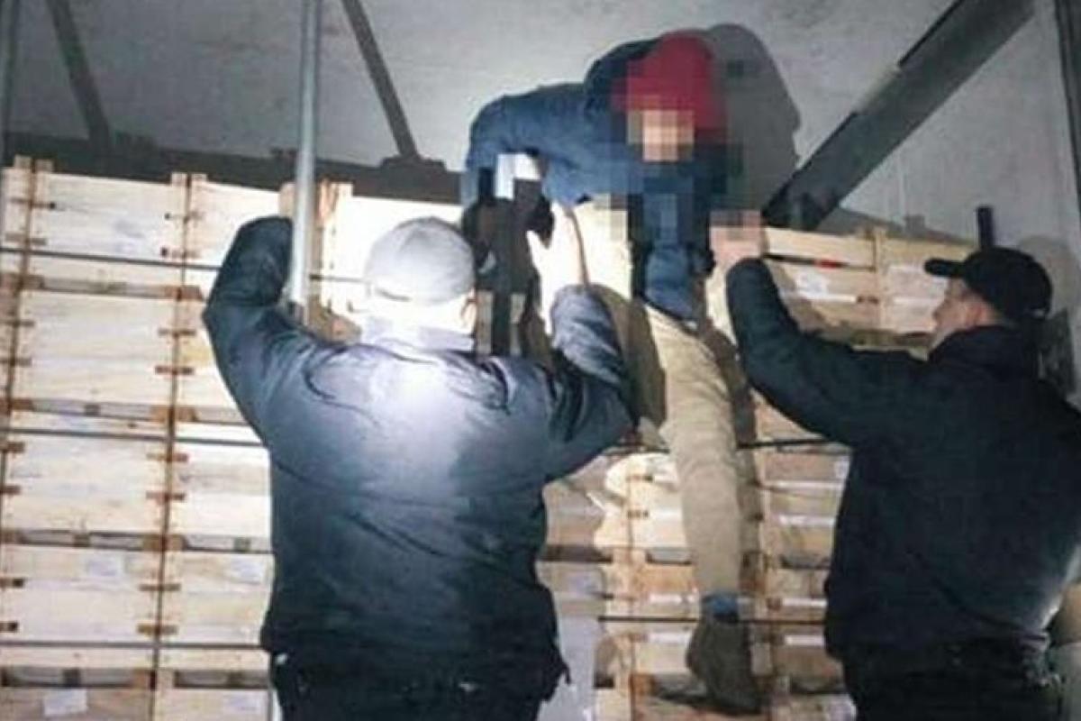 Спрятались в грузовике с яблоками: На Львовщине обнаружены иностранные мигранты Спрятались в грузовике с яблоками: На Львовщине обнаружены иностранные мигранты