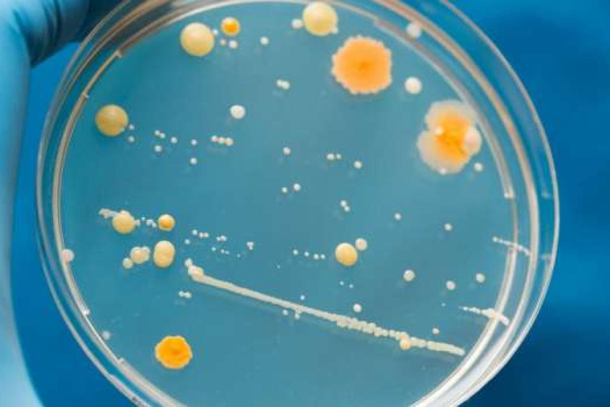 Опасно для жизни: названа самая грязная вещь, которой люди касаются каждый день Опасно для жизни: названа самая грязная вещь, которой люди касаются каждый день