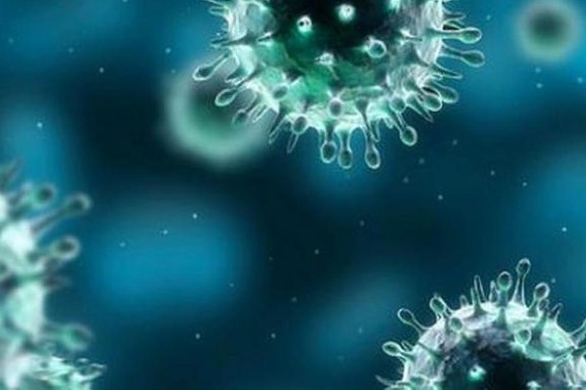 Новые пострадавшие: В Киеве и Житомире подтверждены случаи заражения коронавирусом 