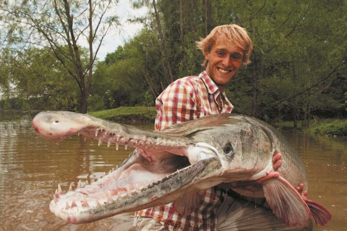 Полу рыба, полу крокодил: В Пенсильвании в реке выловили странное существо Полу рыба, полу крокодил: В Пенсильвании в реке выловили странное существо