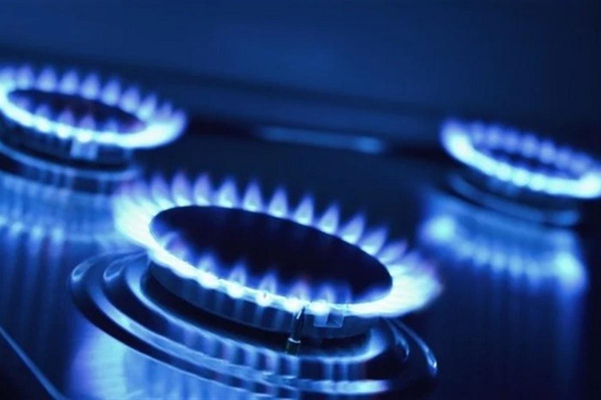 В марте существенно изменится цена на газ для населения - Шмыгаль В марте существенно изменится цена на газ для населения - Шмыгаль